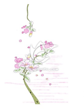 印花圖案