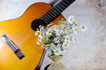 乐器和花卉
