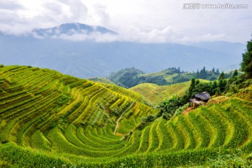 龙脊梯田