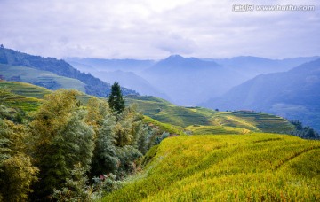 龙胜梯田