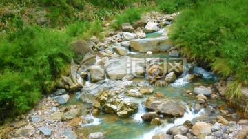 溪水和石头 水草 水花