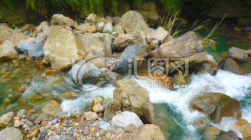 溪水和石头 水草 水花