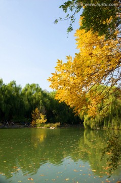 北京大学未名湖秋色