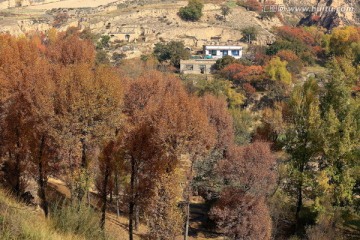 小山村