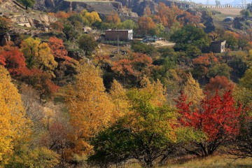 小山村