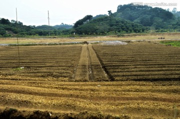 田野土壤农业