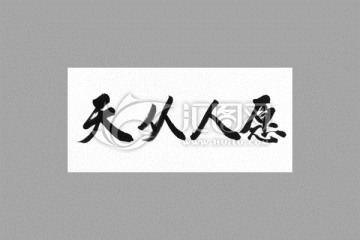 天從人愿