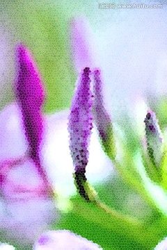 抽象藝術(shù)畫