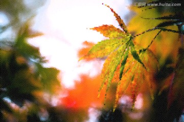 抽象藝術(shù)畫