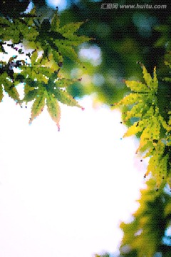 抽象藝術(shù)畫