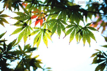 抽象藝術畫