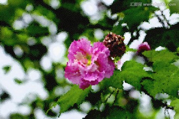 抽象藝術畫