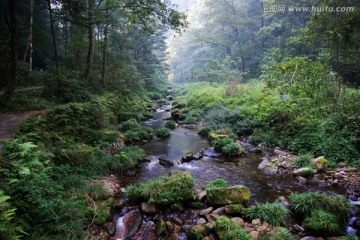 张家界金鞭溪风景区