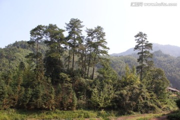 山村