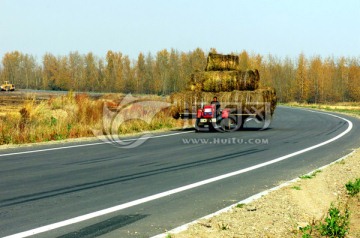 秋季森林公路