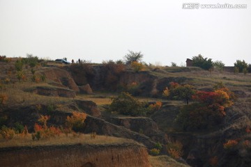 高原秋色