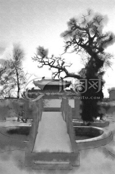文廟古槐