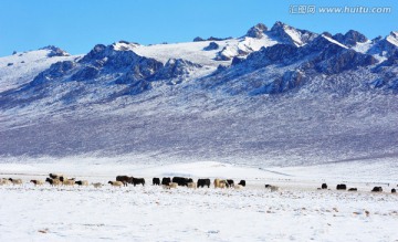 山峦雪域