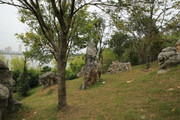 园林风景