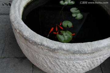 中国园林养鱼荷花缸石缸