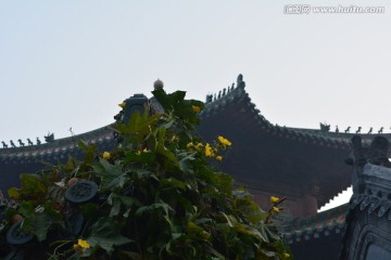 济宁东大寺