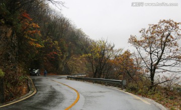 红叶 秋意浓