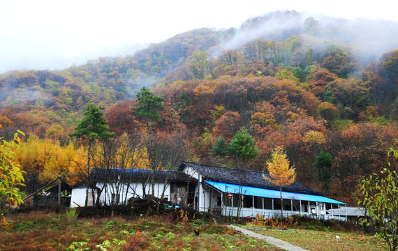 秋景 山村