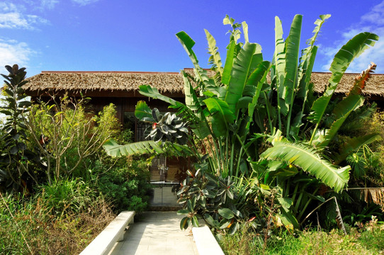 绿植小屋