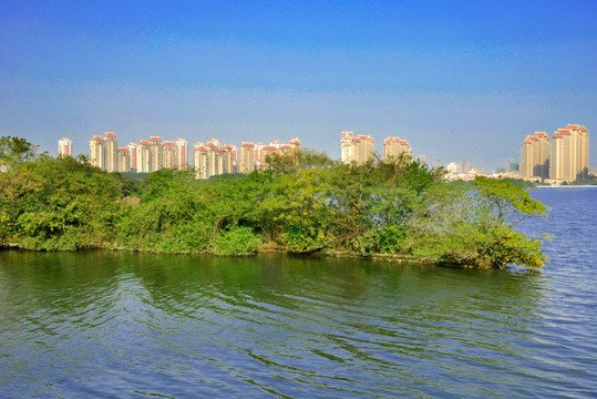 绿洲海景房