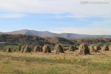 金秋的田野