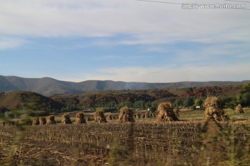 金秋的田野