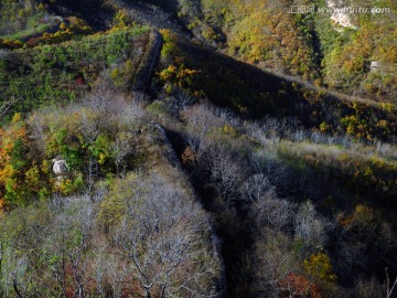 山城之秋