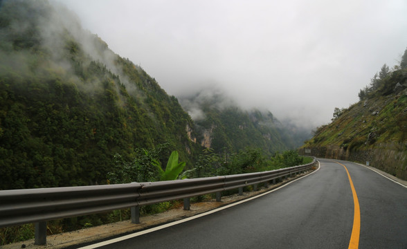 神龙架林区 山路弯弯