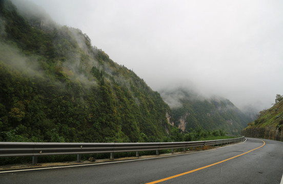 神龙架林区 山路弯弯