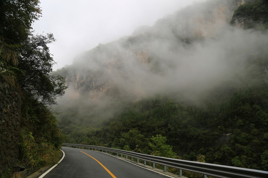 神龙架林区 山路弯弯