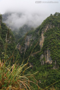 森林植被 高山丘壑