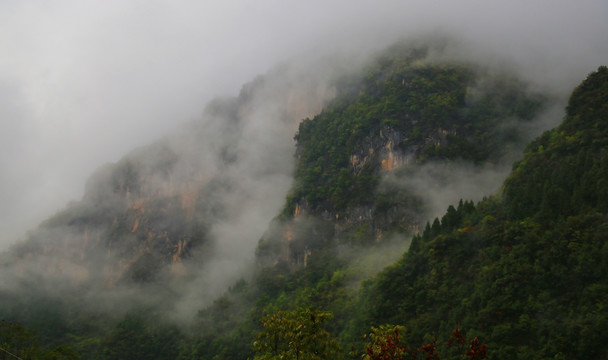 森林植被 高山丘壑