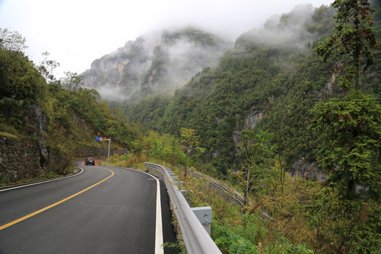 神龙架林区 山路弯弯