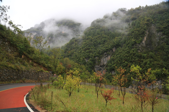 神龙架林区 山路弯弯