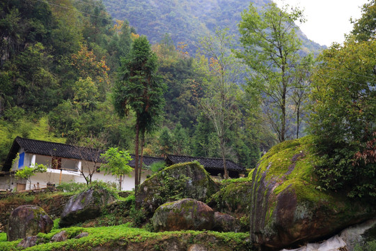 生态环境 山村