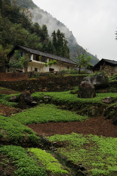 生态环境 山村