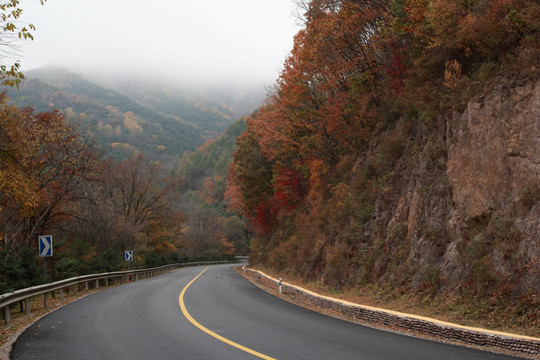 山路 风景