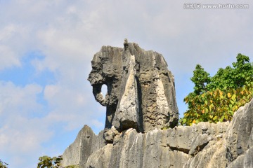 天然石象 奇石
