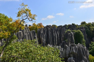 石林 奇石