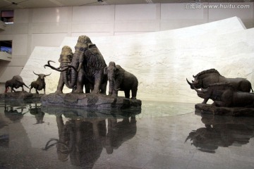 大庆 博物馆 猛犸象