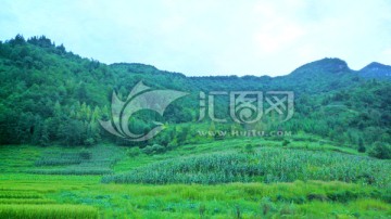 綠色原野 藍天白云 興隆