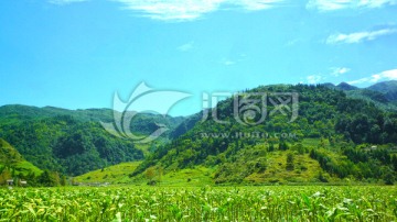 綠色山野 興隆  藍天白云