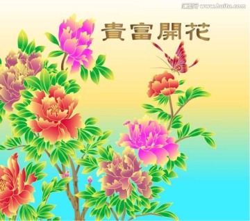 牡丹花  花開富貴