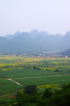 美丽乡村 乡村风景 田园风光