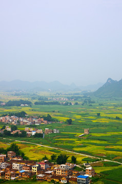 美丽乡村 乡村风景 田园风光